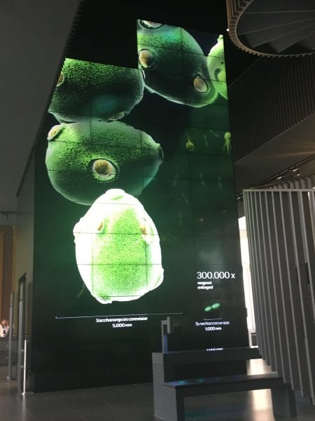 A broken video wall can disrupt even the most impressive displays A broken video wall can disrupt even the most impressive displays